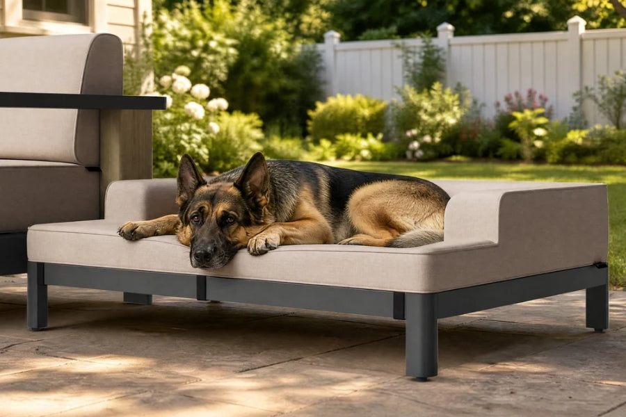 Are Luxury Pet Beds Worth It?